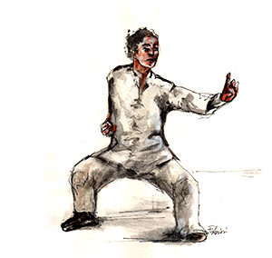 Kung Fu stile Pak Hok Pai